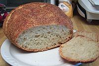 Shaggy Muppety bread